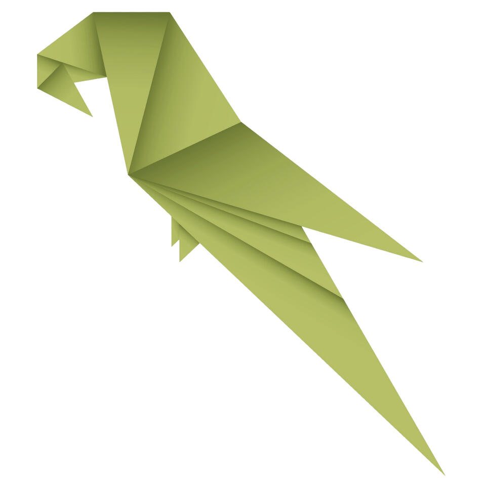 Secuencia y elaboración cuidadosa